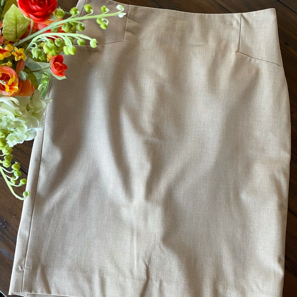Limited Pencil Skirt Size 2